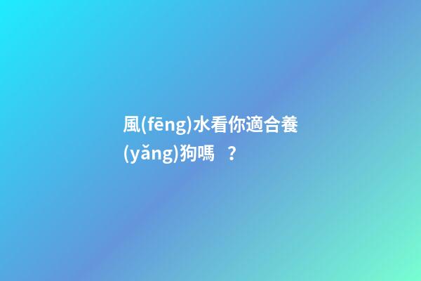 風(fēng)水看你適合養(yǎng)狗嗎？